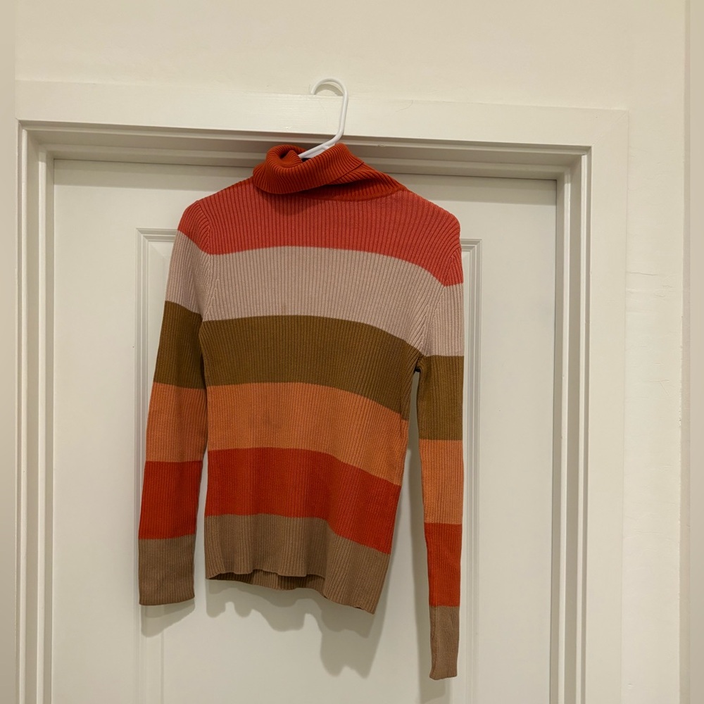Striped Multicolor Turtleneck Sweater